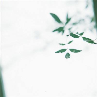 非常精灵控游戏下载